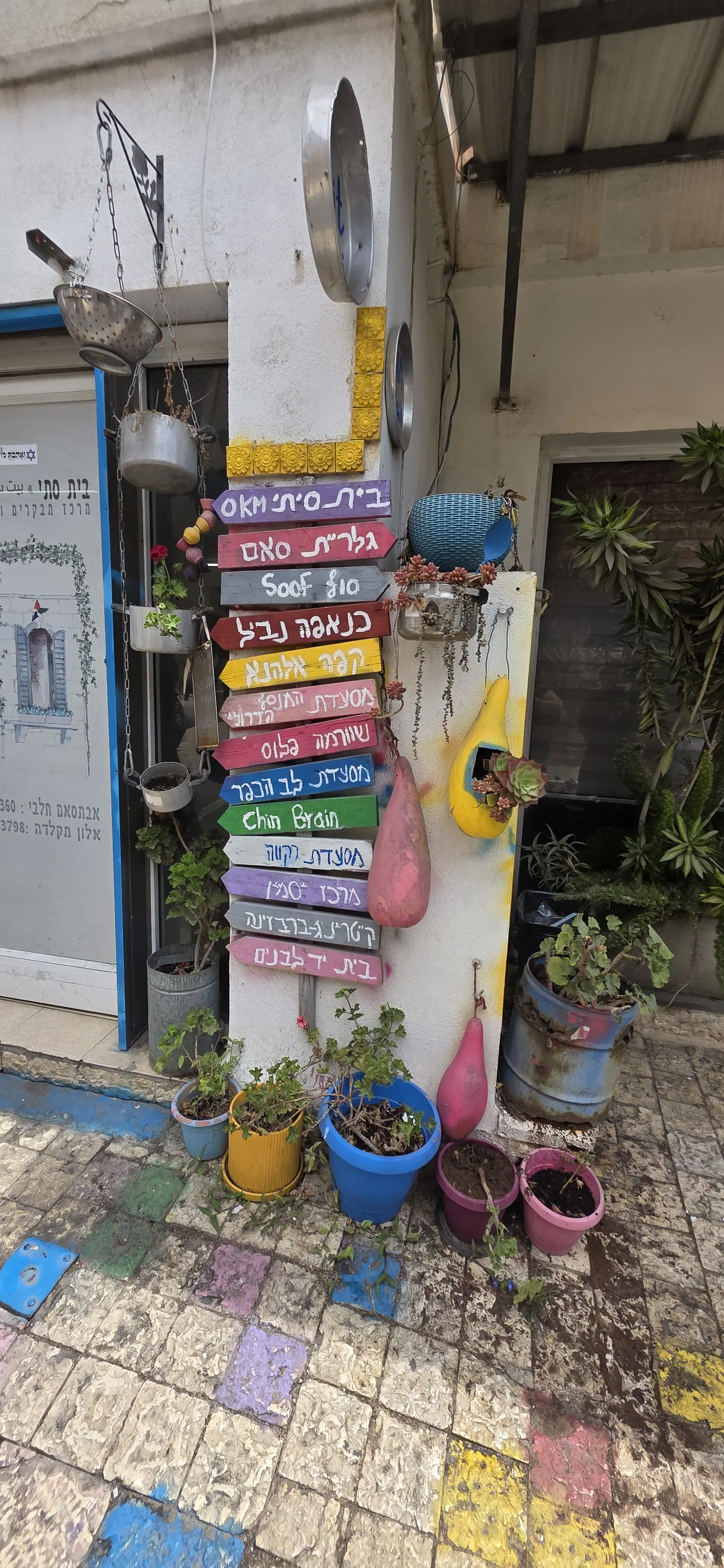 שלט צבעוני עם עציצים בכניסה למקום האירוע